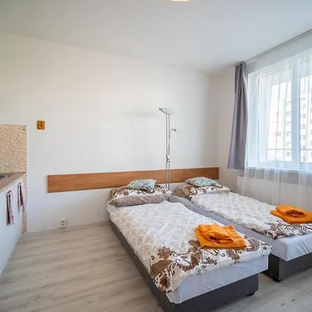 Cozy Apartment *